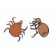 Flea and Tick Flea and Tick