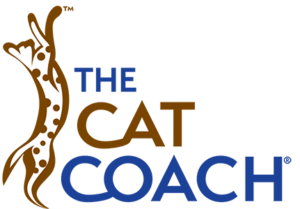cat coach